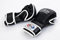 Fairtex MMA Sparrings Handschuhe, FGV15, schwarz, Freefight, Grappling Vale Tudo Größe M