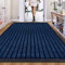 B&B Doormats, Outdoor Indoor Non Slip Entrance Rug, Floor Mat, Dirt Trapper Door Mat for Patio, Multi Purpose (120 x 150 cm - Blue)