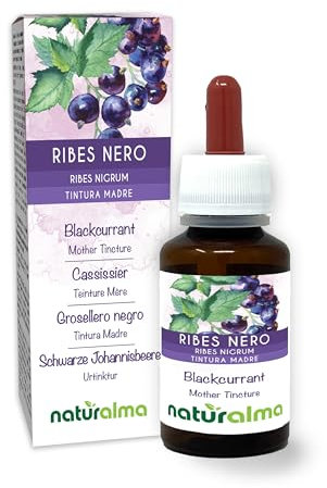 Ribes nero (Ribes nigrum) foglie e frutti Tintura Madre analcoolica Naturalma - Estratto liquido gocce 60 ml - Integratore alimentare - Vegano