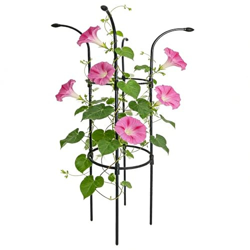 YNPQTDS Enrejado Paraguas de Jardín,Soportes estables y Decorativos para trepadoras - Jaula Sostén para Flores Exterior - para Clemátide Pitaya Pepino Hortensias Jazmín Potus