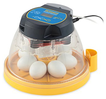 Incubadora Brinsea Mini II EX – Incubadora para 7 huevos de gallina o pato – Fabricada en UK, calidad premium, volteo de huevos y control de humedad automáticos – Alarmas y sistema cooling.