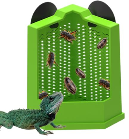 Bvizyelck Bol Alimentaire pour Gecko - Bol Nourriture Crabes Ermites à Ventouse Mangeoire Gecko,Accessoire pour Terrarium Et Élevage - pour Caméléon Serpent Grenouille Lézard Tortoise Oiseau