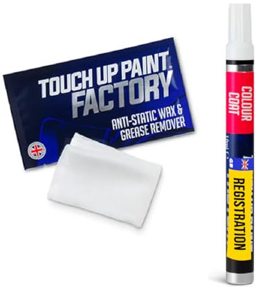 Touch Up Paint Factory - Scratch Repair Pen Kit Mixed by Reg Registration Plate Car Touch Up Paint for All Models - Exact Match Guarantee - Lite (Small) - Computer Matched