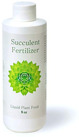 Succulent Fertilizer | Formulated Succulent Food for Potted Indoor Succulents and Cactus | Plant Food for Succulent Soil in Pots | by Aquatic Arts