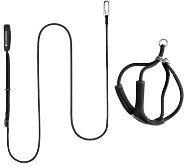 BuddyArmor Pettorina per gatti a prova di esplosione, a forma di Y, con guinzaglio, regolabile, anti-soffocamento, imbottita, con maniglie libere, per passeggiate fino a 12 kg (nero, M)