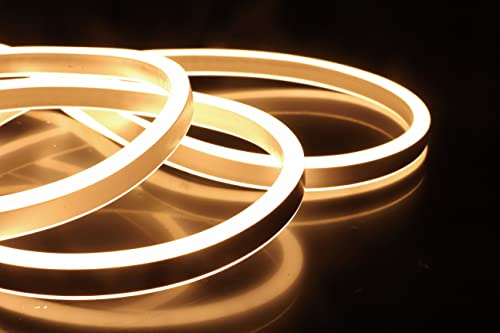 LEDZEIT- Profi Serie - Manguera de luz LED Neon Flex 10m, exterior e interior. banda de luz, blanco cálido, 120LED/ M, SMD2835, IP65, regulable, Prolongable, para escaleras, pared, techo