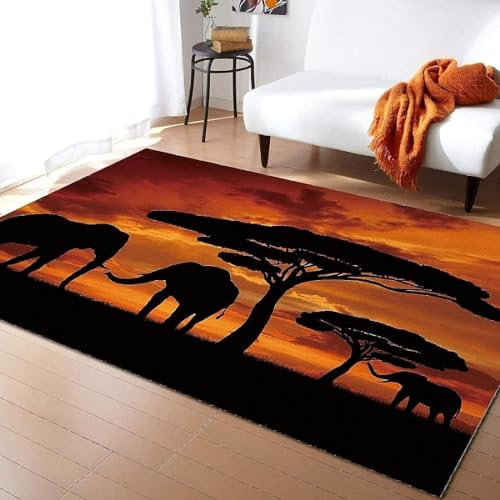 okoikfc Teppich Wohnzimmer 60 x 120 cm Afrika Teppich 3D Tier Waschbarer rutschfest, Teppiche für Kinderzimmer Schlafzimmer Deko Antirutschmatte Teppich Matte
