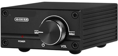 Mini Caisson de Basses 100 W/amplificateur de Puissance à Gamme complète Amplificateur Audio Mono TPA3116D2