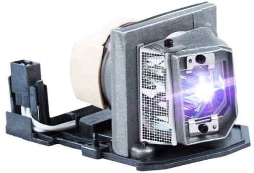 iReijomoi Lámpara de repuesto SP.8LG01GC01 con carcasa para proyectores OPTOMA DB2401/DB3401/DS211/DT2401/DT3401/DX211/ES521/EX521/OPX2630/PJ666/PJ888
