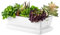botle Keramik Blumentopf Blumenschale Kakteenschale Untersetzer Wasserloch Kakteen Bonsai Sukkulenten (rechteckig, Weiss)