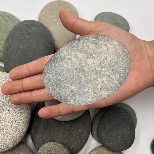 Sassi da Dipingere 8 Pezzi Pietre Piatte per la Pittura 8-12 cm Pietre Dipinte a Mano Ciottoli da Dipingere per Pittura Fai da Te, Decorative per Acquario e Giardino