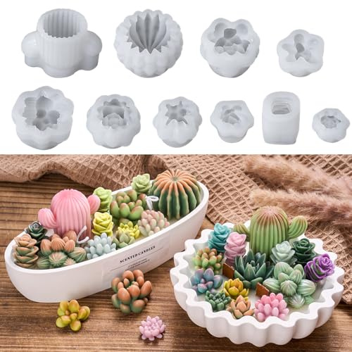 10 Stück Silikonformen Gießformen Set Sukkulenten, 3D Kaktus Kerzenformen Silikon für Duftkerzen Seife, Silikonform Blumen Pflanzen, Gießformen Silikon für Epoxidharz Gips DIY Deko