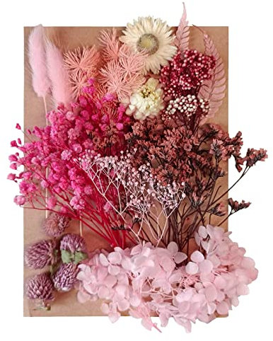 Fiori secchi Foglie di fiori secchi pressati misti Fiori artificiali decorativi naturali multipli Fiori secchi per artigianato Torte in resina Gioielli fai da te Nail Art Scrapbooks (Pink)