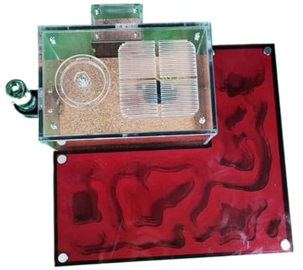 Ameisenfarm Ameisenschloss DIY Acrylplatte Ameisennestfarm Große Werkstatt Ameisenterrarium Futterbereich Studio Wissenschaftsset Geschenk for Kinder Beobachtung