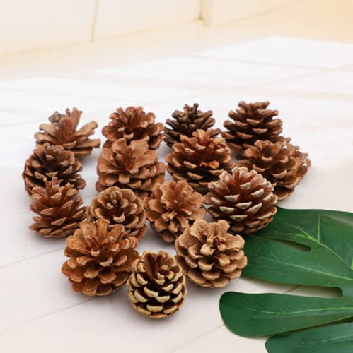 QHZHANG Natural Bulk Pine Cones,Christmas Tree Fall Ornaments,Christmas Rustic Pinecones for Home Party Decorations-18PCS