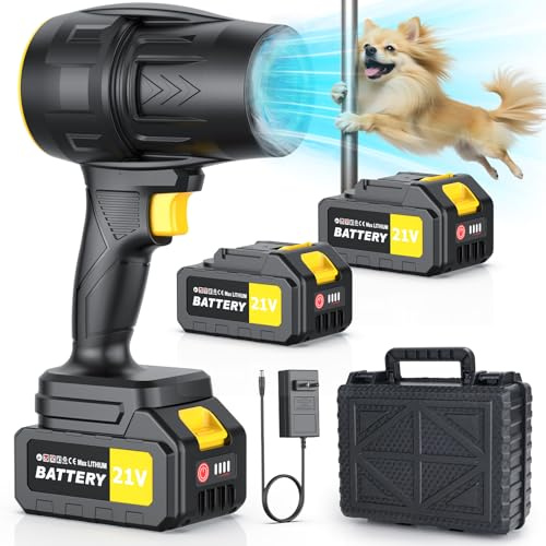 Handheld Leaf Blower Cordless with 2 Battery and Charger, 550CFM Lightweight Electric Cordless Leaf Blowers, 21V Battery Powered Leaves Blowers for Lawn Care, Patio, Car and Dus (Black)