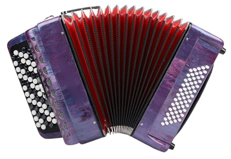 Odorkle Acordeón Cromático 62 Teclas 60 Bajos Calidad de Sonido Premium Afinación F B E con Correa Ajustable Ideal para Clases Práctica Actuación en Vivo