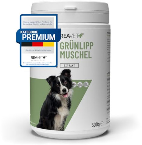 Poudre de concentré de moules à lèvres Vertes ReaVET Chien 500g, Poudre de moules à lèvres Vertes Chien, Chiens de moules à lèvres Vertes Forte Dose après arthrose traitée