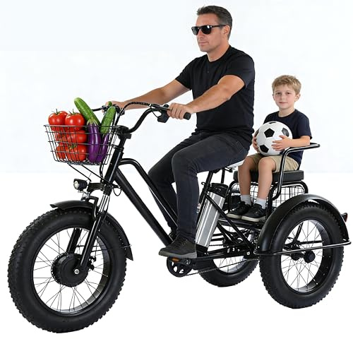 Dfdieratve Tricycle Électrique Adulte à Assistance - Pneus Gras 20 3 Roues, 500W, Simple d'Utilisation, Sécurisé, Recommandé Seniors, Enfants & Terrains Divers