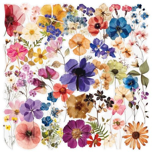 50 Pcs Transparent Stickers Waterprof pet Sticker Pack for Kindle Laptop Water Bottle Guitar Girls Scrapbooking Cute Scrapbook Preppy Journal Suitcase Coloured Flower