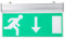 FILFEEL LED-Panel, beleuchtet, Notausgang, LED-Beleuchtung, Sicherheitszeichen, Sicherheitsleuchte, 110 – 220 V (Acryl)
