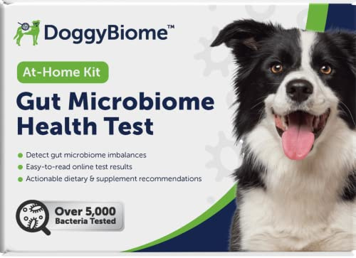 AnimalBiome DoggyBiome Kit de test de probiotiques pour chien