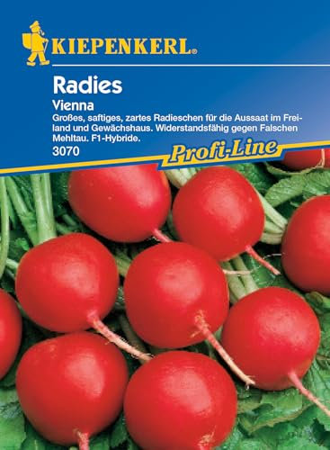 Kiepenkerl Profi-Line Radieschensamen Vienna, F1 3070 - Widerstandsfähig - Inhalt für 10 lfd. Meter - Gemüsesamen, Samen Gemüse, Gemüsepflanzen, Saatgut