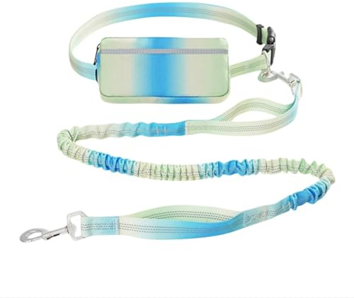 MyGiGi Hands Free Dog Leash with Zipper Pouch, Dual Handles and Durable Reflective Bungee for Walking, Jogging and Running Medium Large Dog (Green+Blue)