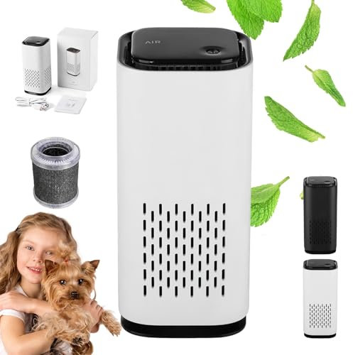 Purificador de aire alérgico para coche doméstico portátil, mini purificador de aire, filtro de aire, purificador de aire con aromaterapia, para polvo, olor, purificador de aire con aromaterapia