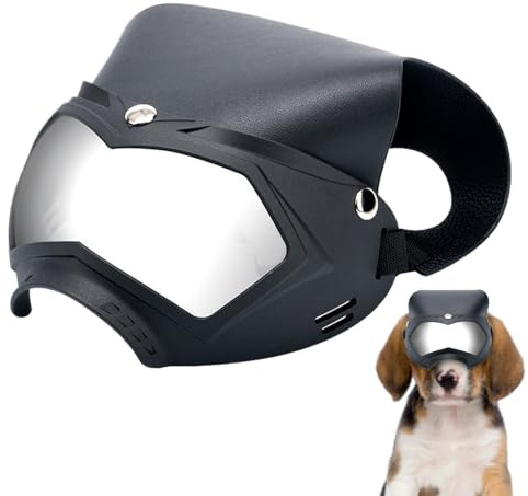 Hundglasögon – hundsolglasögon | väderbeständiga husdjurstillbehör | vindtäta husdjursglasögon | glasögon med justerbar rem för sommar, festivaler, snö, äventyr, berg, vandring