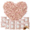 FSWWSF 12 Confezioni di Coriandoli di petali Matrimonio Biodegradabili per Fiori Secchi per Feste Compleanni Decorazione della Nuziale (A)