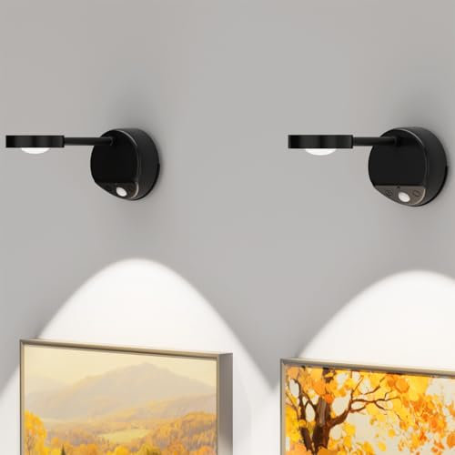 LUXHEIM 2 Pack Picture Lights for Wall, Battery-Operated Rechargeable Wall Lights with Timer and Remote, for Dartboards, Pictures, Frames, and Galleries