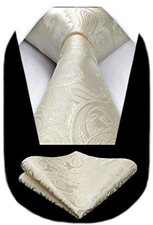 HISDERN Herren Krawatte Beige Paisley Krawatte mit Einstecktuch Set Hochzeit Blumen Jacquard Krawatten Taschentuch Einfarbig Champagan