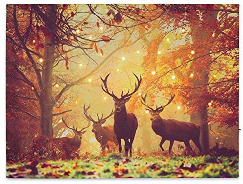 LED Wandbild Leinwandbild mit Beleuchtung Fotodruck Hirsch 30x40 cm Kunstdruck Leuchtbild Effekt-LED Herbst-Dekoration Hirschrudel Mischwald Jäger Heimat