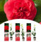NatureNest, Japanische Rose, Kamelie, Rot, 3 Stück, 30-38 cm, Gartenpflanzen, Blütenpracht