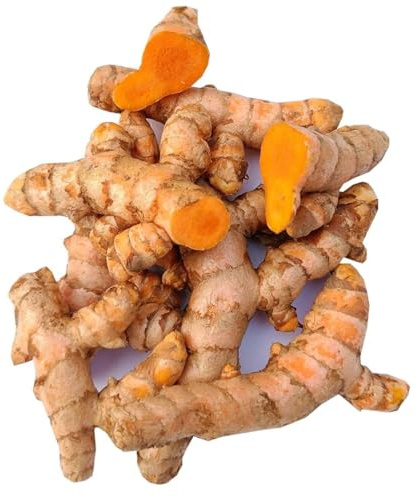 Bongiovanni Bontà Naturali Curcuma Radice a Pezzi 50g Premium | Curcuma Intera Secca per Tisane e Spezie | Antiossidante Naturale, Gusto Intenso e Benefico | Ideale per Infusi e Cucina Salutare.