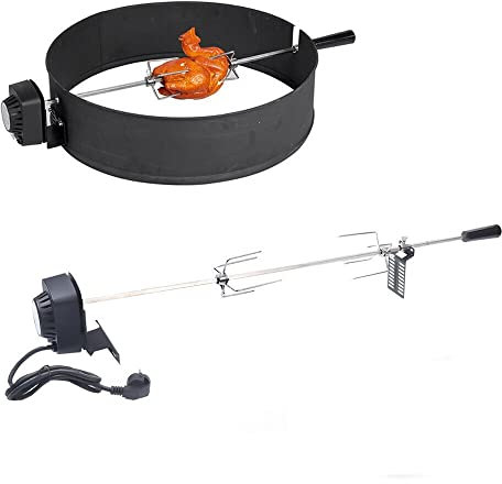 DiLiBee 220-240 V Tournebroche avec moteur, 80 cm, rôtisserie professionnelle pour barbecue au charbon de bois, barbecue à gaz et tournebroche, charge maximale : 10 kg.