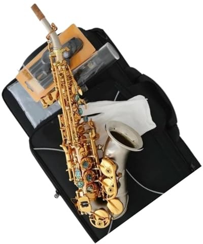 Professionell Saxofon Böjt Rör Altsaxofon Fosforbrons Kropp Mässing Klocka