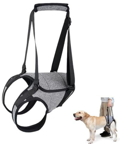 GYWHOOFT Cintura di sicurezza per cani, cintura di sicurezza per cani posteriori, per aiutare la riabilitazione del midollo spinale,adatto per il peso corporeo 17.5-26KG (grigio L)