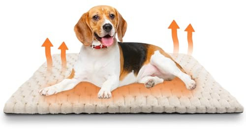 XIAPIA Selbstheizende Decke Katze & Hunde, Flauschig Selbstwärmende Katzendecke ohne Kabel, Wärmedecke Heizdecke ohne Strom, Washbar Thermodecke Katzenkissen (Weiß, 90 * 60)