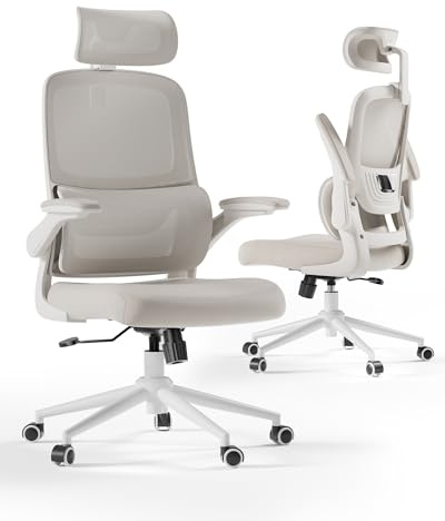 Hbada P1 Sedia Ufficio e Scrivania Ergonomica, con Supporto Lombare 2D Regolabile e Testiera Regolabile, Braccioli Ribaltabili e Cuscino Spesso, Oscillazione 12°, Mesh, Grigio