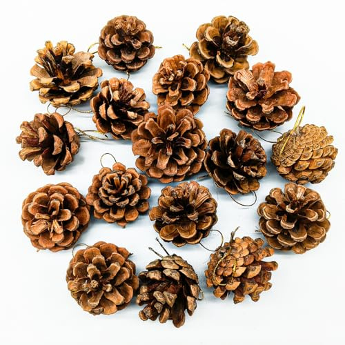 QIMMU 36 Stück Tannenzapfen,4cm,Kiefernzapfen,Tannenzapfen Zum Basteln,Zapfen Deko,Weihnachten Tannenzapfen,Pinienzapfen Perfekt Für Weihnachtsbaum Deko,Adventskranz,Christmas Decorations(Natürliche)