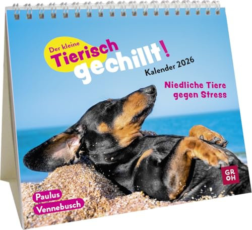 Mini-Kalender 2026: Der kleine Tierisch gechillt! Kalender: Mini-Monatskalender. Kleiner Tischkalender zum Aufstellen mit Monatskalendarium und lustigen Sprüchen