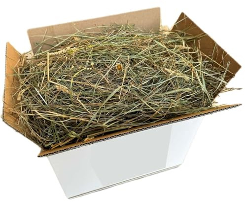 Foin naturel pour lapins 1 kg | Danse de foin italien de prairie de montagne séchée au soleil | Nourriture pour cochons d'Inde, Chinchilla, lapins nains, chevaux, poulets et rongeurs