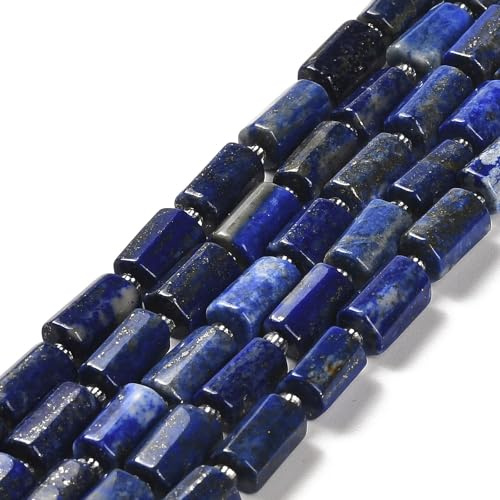 SUPERFINDINGS 2 Filamenti di Perle di Lapislazzuli Naturali Color Indaco a Cilindro di Pietra A Tubo Sfuse (circa 14-15 pezzi/Filamento)