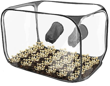 Luqeeg Mushroom Growing Still Air Box Pop Up Mushroom Grow Tent Kit, Portable Mushroom Growing Container for Spores Mycology Horticulture Supplies, 35.8x23.2x22.8inch