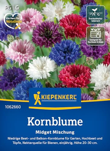Kiepenkerl Kornblumensamen Midget Mischung 1062660 - Blumensamen für Garten, Hochbeet und Töpfe mit einer Wuchshöhe von 20 bis 30 cm - Pflanzen, Saatgut