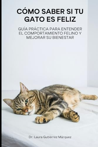 Cómo Saber Si tu Gato Es Feliz: Guía Práctica para Entender el Comportamiento Felino y Mejorar su Bienestar