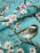 Mambo Design PVC Tischdecke Polly Vogel Türkis Wachstuch · Breite & Länge wählbar· abwaschbare Tischdecke · Kirschblüten Rosa Japan Meise, Größe:140 x 200 cm