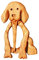 Femmes de châle épingles en bois broche épingles de bricolage animal artisanal pins de châle de bande